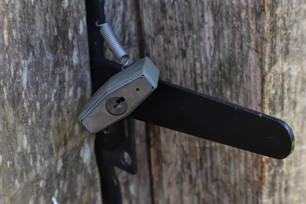 padlock, lock, security, protection, locked, closed, gate lock, privacy, padlock, padlock, padlock, padlock, padlock, lock, lock, lock, lock, lock