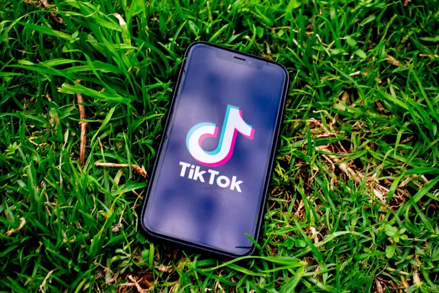 tiktok, social media, app, tik tok, smartphone, iphone, mobile, internet, technology, digital, communication, apple, social, multimedia, screen, phone, youth, application, tiktok, tiktok, tiktok, tiktok, tiktok, tik tok, tik tok, tik tok, tik tok. Using grant status in influencer platform briefs