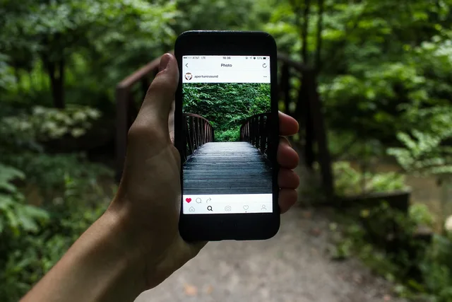 bridge, gadget, hand, iphone, macro, nature, outdoors, plants, smartphone, social media, touchscreen, trees, green phone, green mobile, green facebook, green bridge, green social, green smartphone, green media, green telephone, green iphone, social media, social media, social media, social media, social media, green phone. TikTok Creator Marketplace and Instagram creator tools: how UK brands can choose